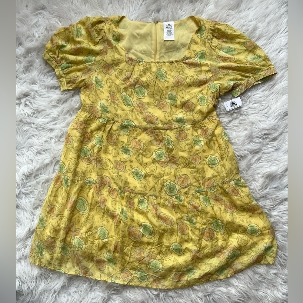 2022 Disney Parks Cinderella Floral Roses Mini Dress For Women Size Large NWT